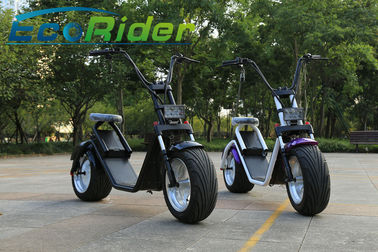 Chine Scooter électrique de la roue 40-50KM/H 2 avec de grandes roues/scooter ville de mode avec le moteur sans brosse de hub fournisseur